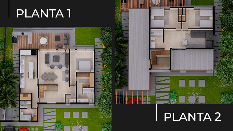 plantas-atacamenos